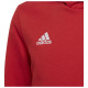 Adidas Παιδικό φούτερ Entrada 22 Hoodie